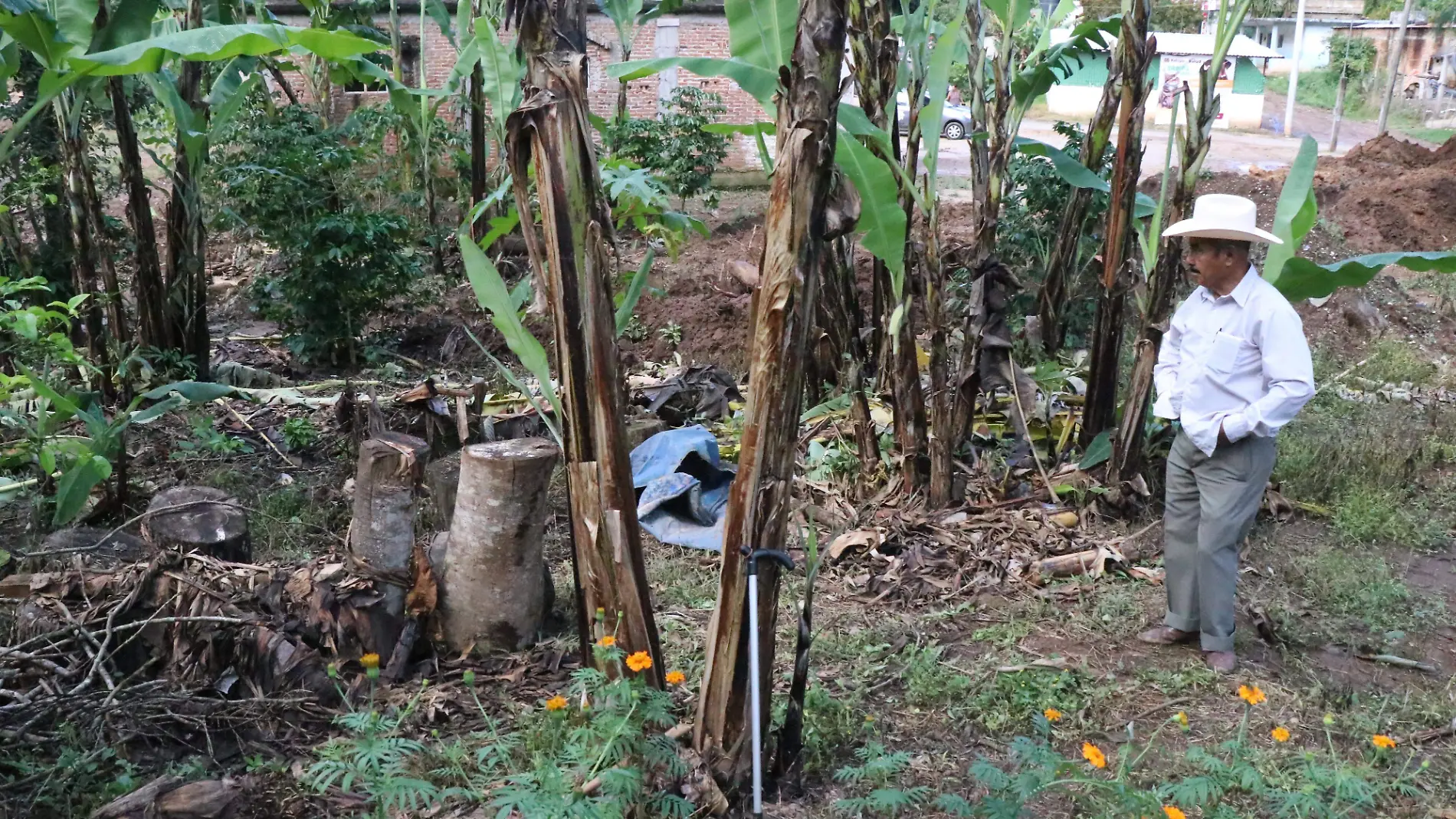 Casi 2 metros bajo el agua estuvo la colonia Las Cruces en Xalapa